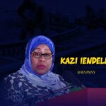 Kazi iendelee Rayvanny cover 640x360 1
