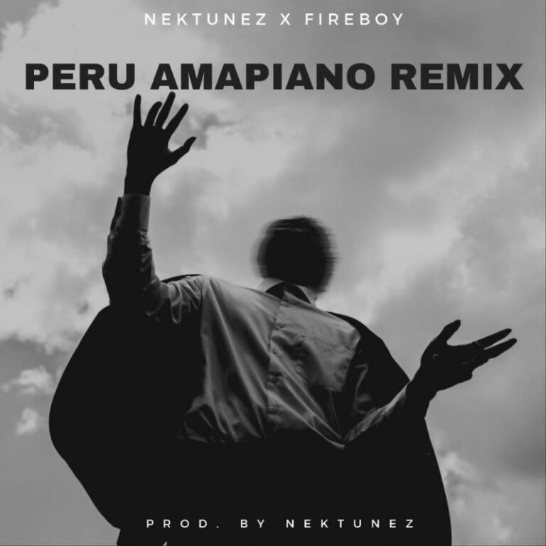fireboy dml x nektunez – peru amapiano remix