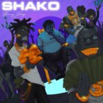 SHAKO artwork 1024x1024 1