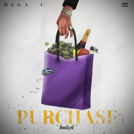 Purchase Budget by Mega C 1