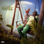 Fanzy Papaya – Gabana ft Jaywillz Fiokee 1