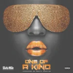 Shatta Wale – One Of A Kind