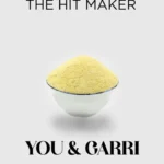 The Hit Maker — You Garri