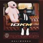 10KM by Daliwonga Ft. Mas Musiq