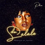 Do Salale Song by Phina