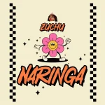 Naringa Song by Zuchu