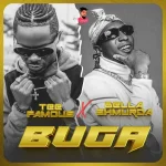 TeeFamous – Buga Remix Ft. Bella Shmurda (1)