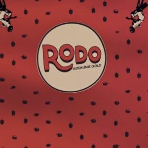 Adekunle Gold - Rodo