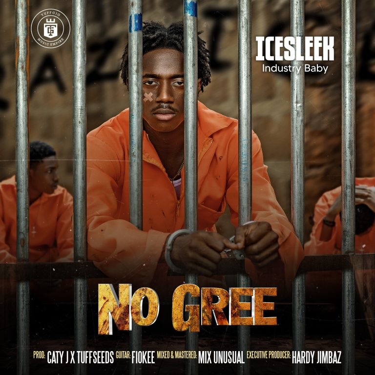 IceSleek No Gre