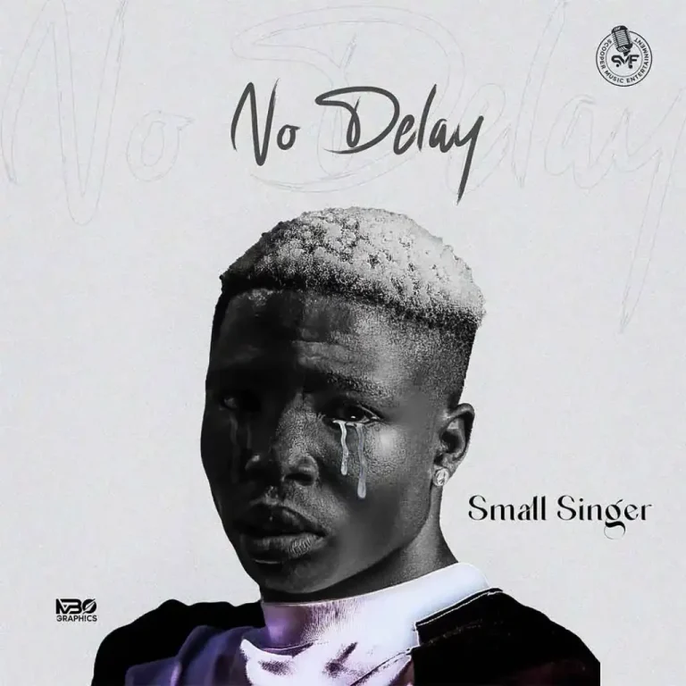 Small Singer No Delay