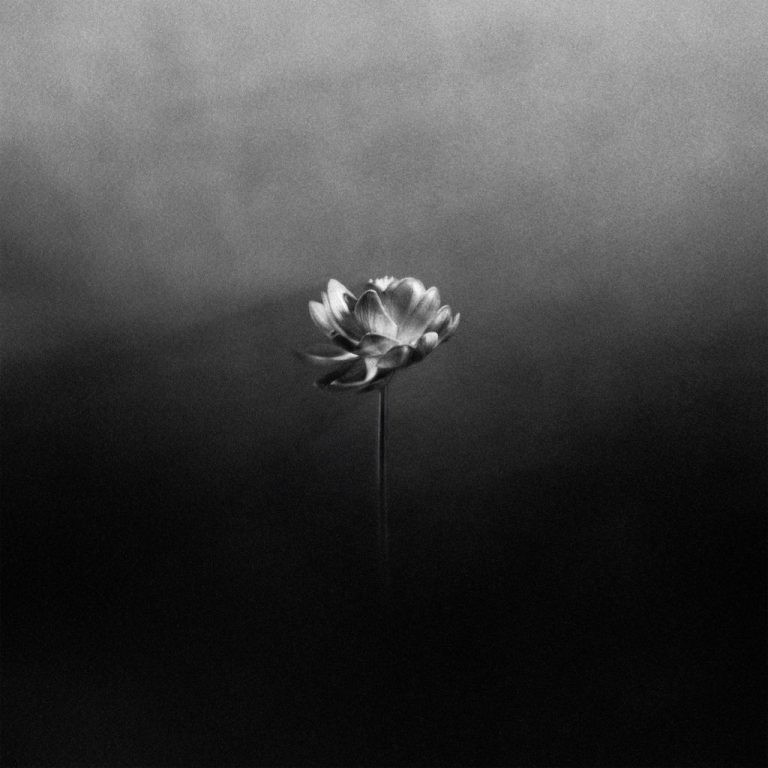 Little Simz – Flood