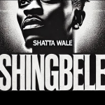 Shatta Wale – Shingbele