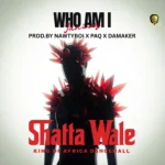 Shatta Wale – Who Am I