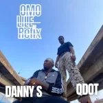 Danny S – Omo Lile Refix Ft. Qdot