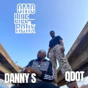 Danny S – Omo Lile Refix Ft. Qdot