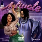 Sparkle Tee – Activate