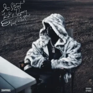 Tml Vibez – A Street Kid's Diary (Album)